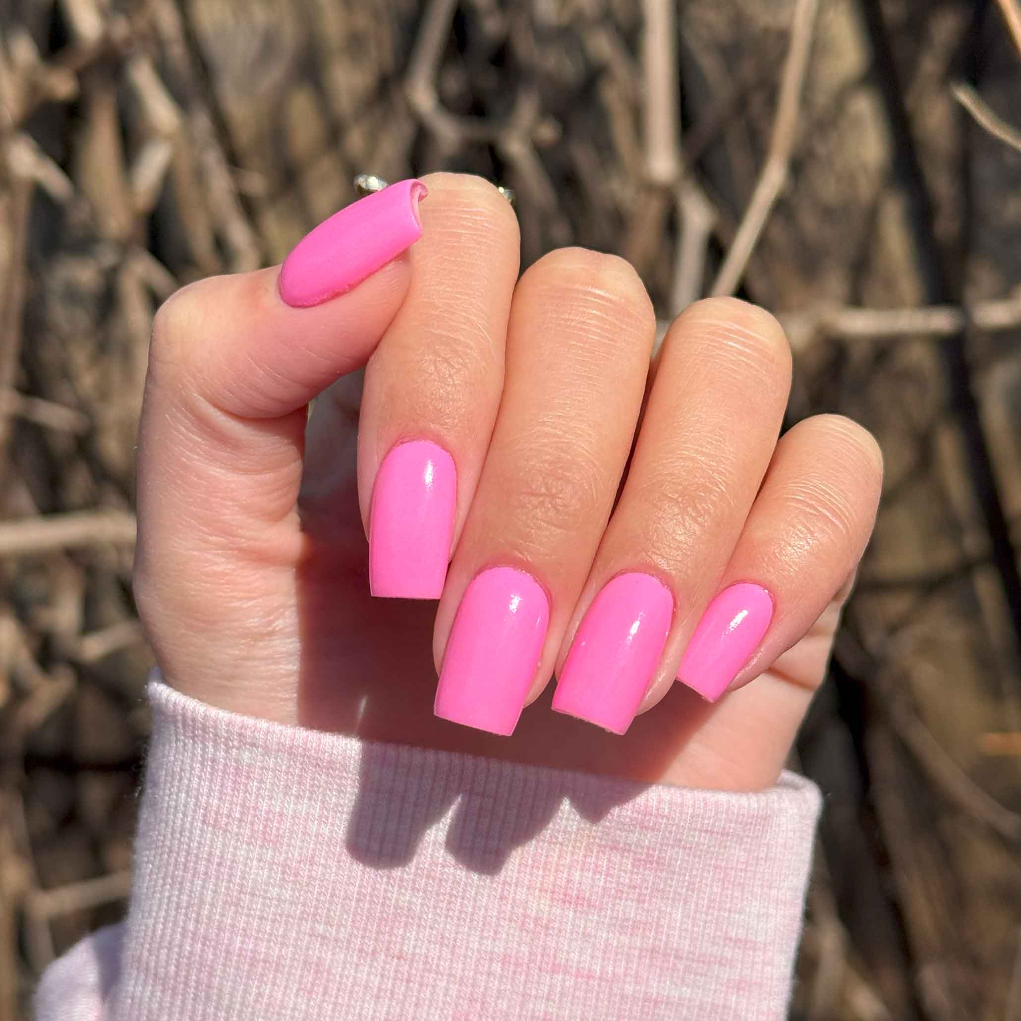 Cotton Candy - Image 3